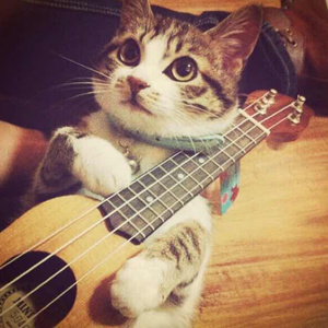 男女啪啪啪动态视频
